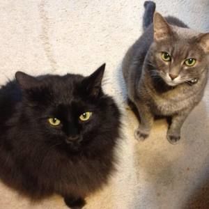 Meet your Posher, Michiko